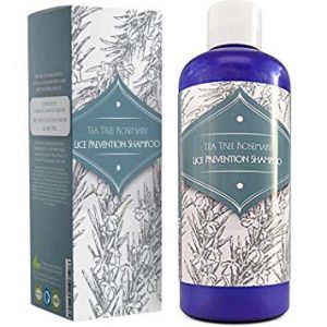 Flava Shampoo